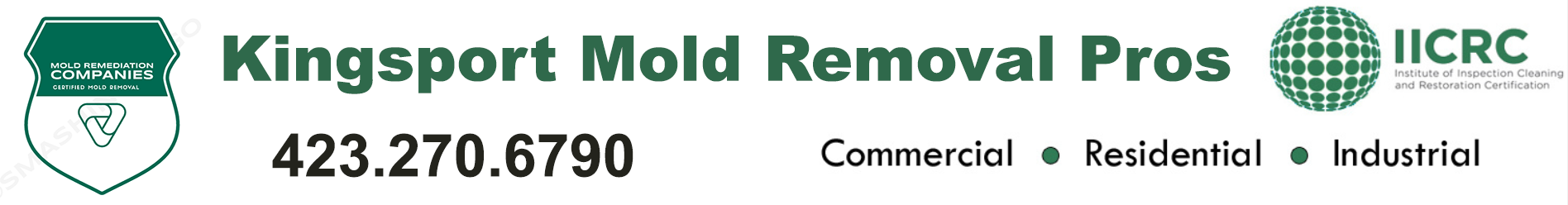 Kingsport Mold Removal Pros